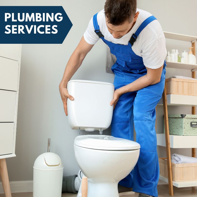 Plumbing Company in Mcalpin, FL